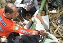 Thai man survives 8 days in forest with broken hip