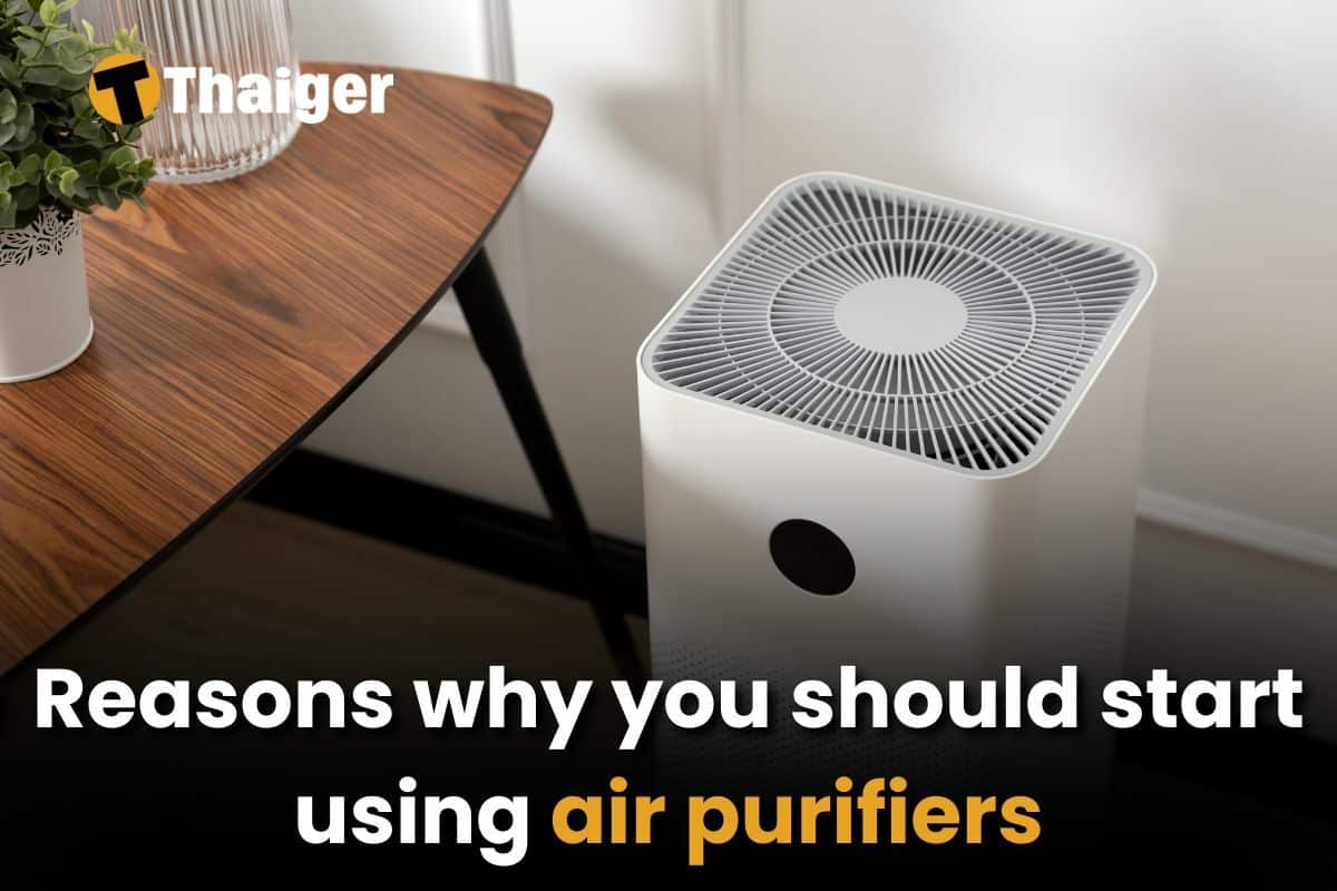 You should start using air purifiers in Thailand