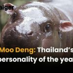 Moo Deng: Thailand’s personality of the year | Thaiger