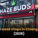 Best weed shops in Chiang Mai [2025] | Thaiger