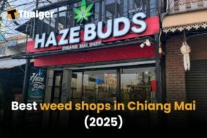 Best weed shops in Chiang Mai [2025] | Thaiger