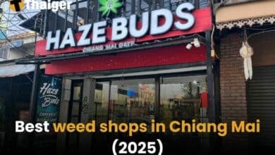 Best weed shops in Chiang Mai [2025] | Thaiger