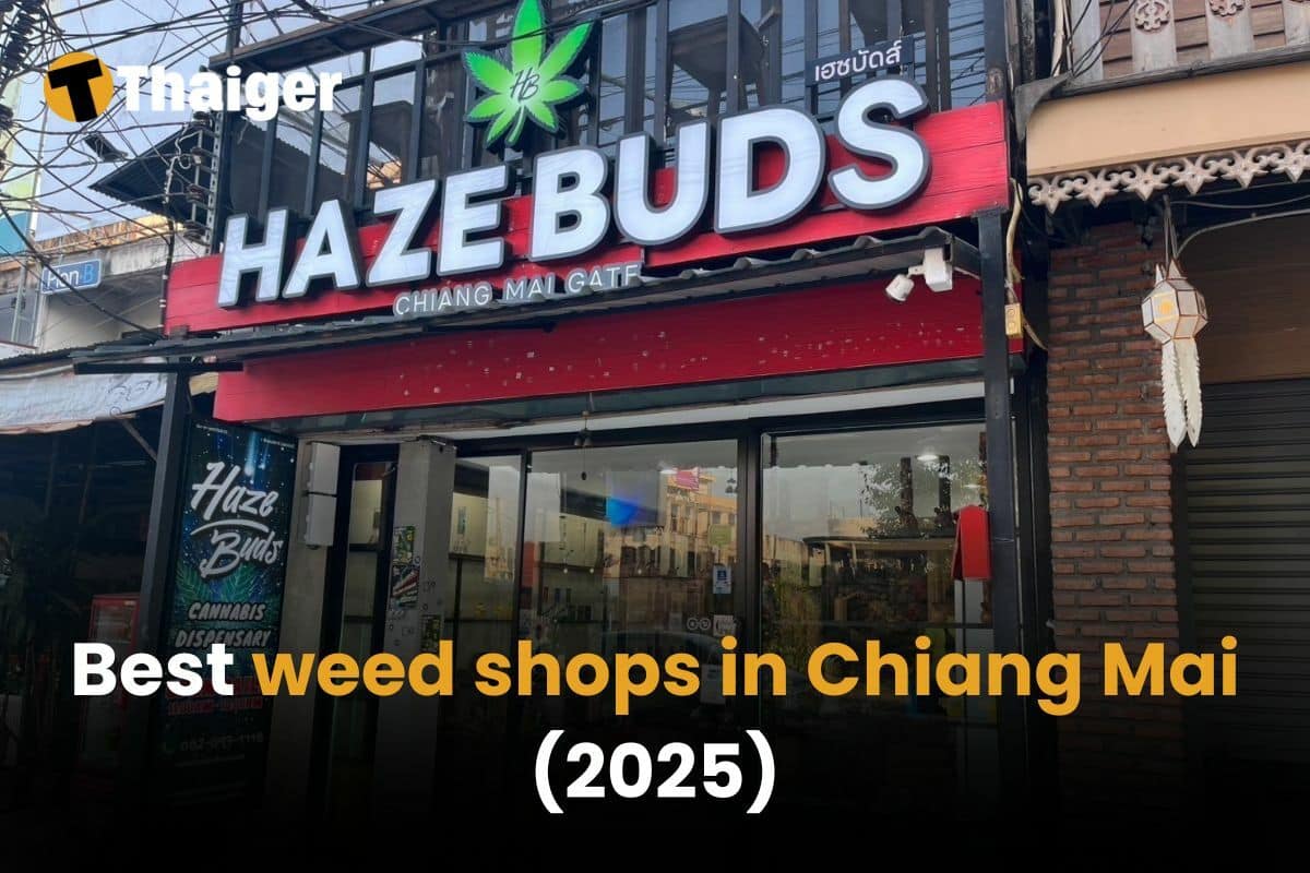 Best weed shops in Chiang Mai [2025] | Thaiger