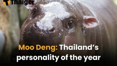 Moo Deng: Thailand’s personality of the year