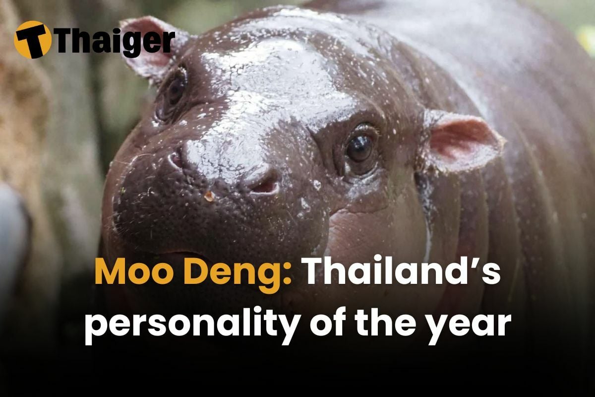 Moo Deng: Thailand’s personality of the year