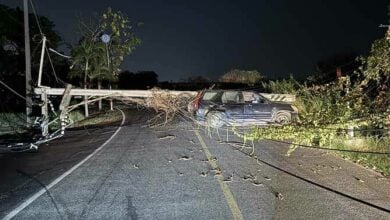 Honda CR-V crash causes power outage in eastern Thailand | Thaiger