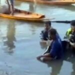 Irrawaddy dolphin dies of freshwater shock in Prachin Buri | Thaiger