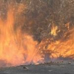 Fifteen arrested in Nakhon Ratchasima for land burning amid forest fire | Thaiger