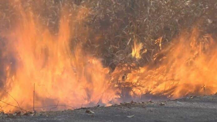 Fifteen arrested in Nakhon Ratchasima for land burning amid forest fire