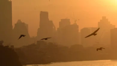 Rising PM2.5 pollution forces Bangkok schools to close