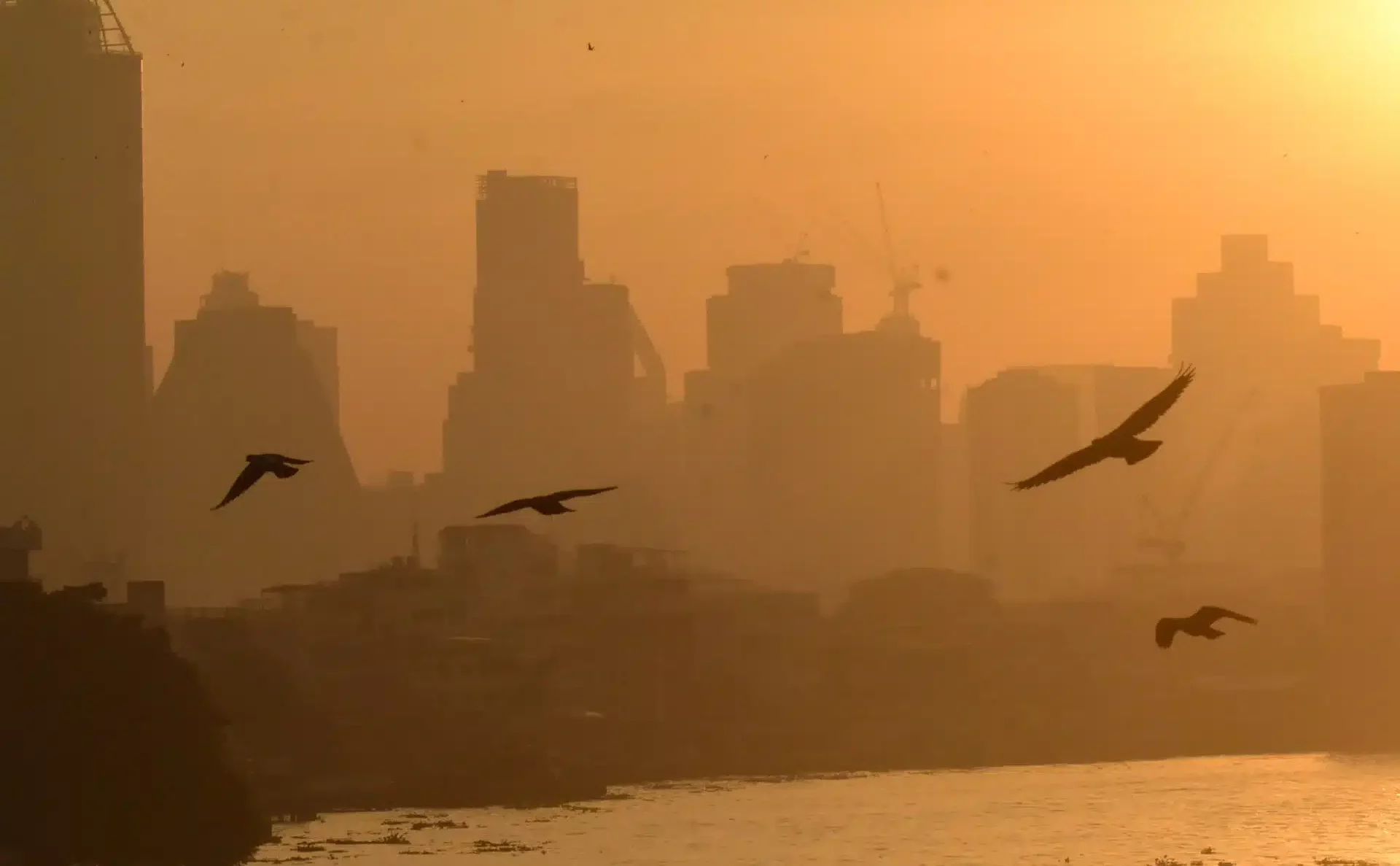 Rising PM2.5 pollution forces Bangkok schools to close