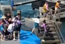 Tourist turmoil  on Koh Larn: Rough seas spark safety warnings