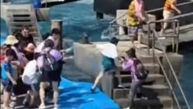 Tourist turmoil  on Koh Larn: Rough seas spark safety warnings