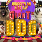 Don&#8217;t miss out on Jungceylon&#8217;s Giant Dogs Meet Friends festival! | Thaiger