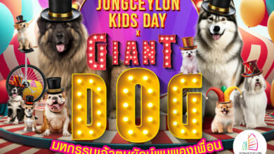 Don’t miss out on Jungceylon’s Giant Dogs Meet Friends festival!