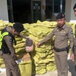 Thai police halt illegal 15 tonnes of pork import from China | Thaiger