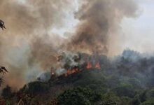 Rayong wildfire sparks dust pollution, impacting health and economy