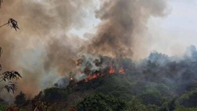 Rayong wildfire sparks dust pollution, impacting health and economy