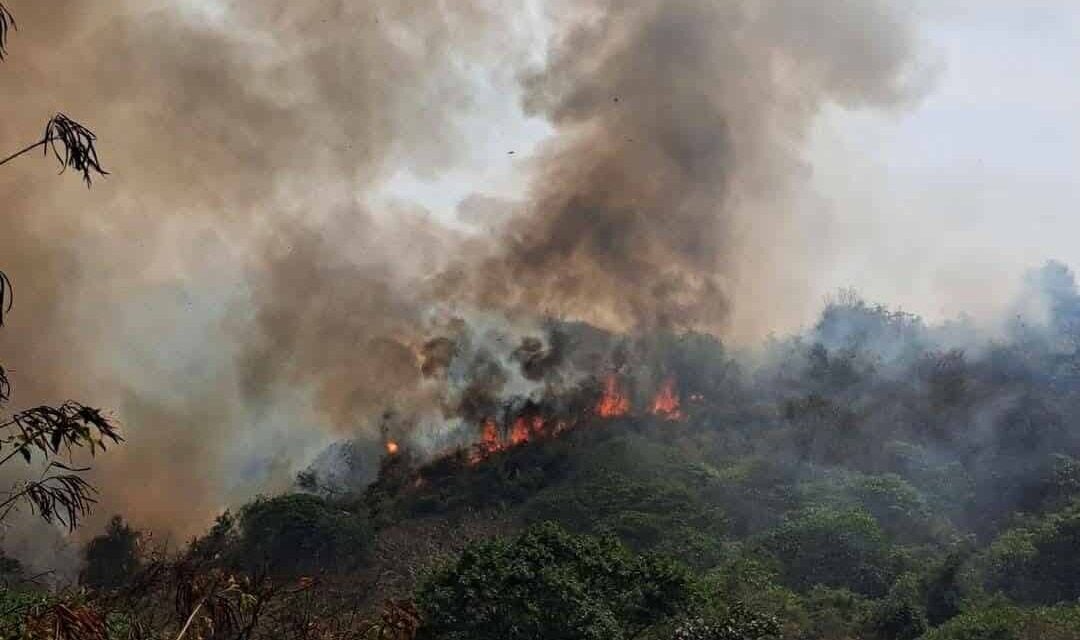 Rayong wildfire sparks dust pollution, impacting health and economy