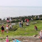 Rare algae bloom turns Laem Bali Hai shoreline green | Thaiger