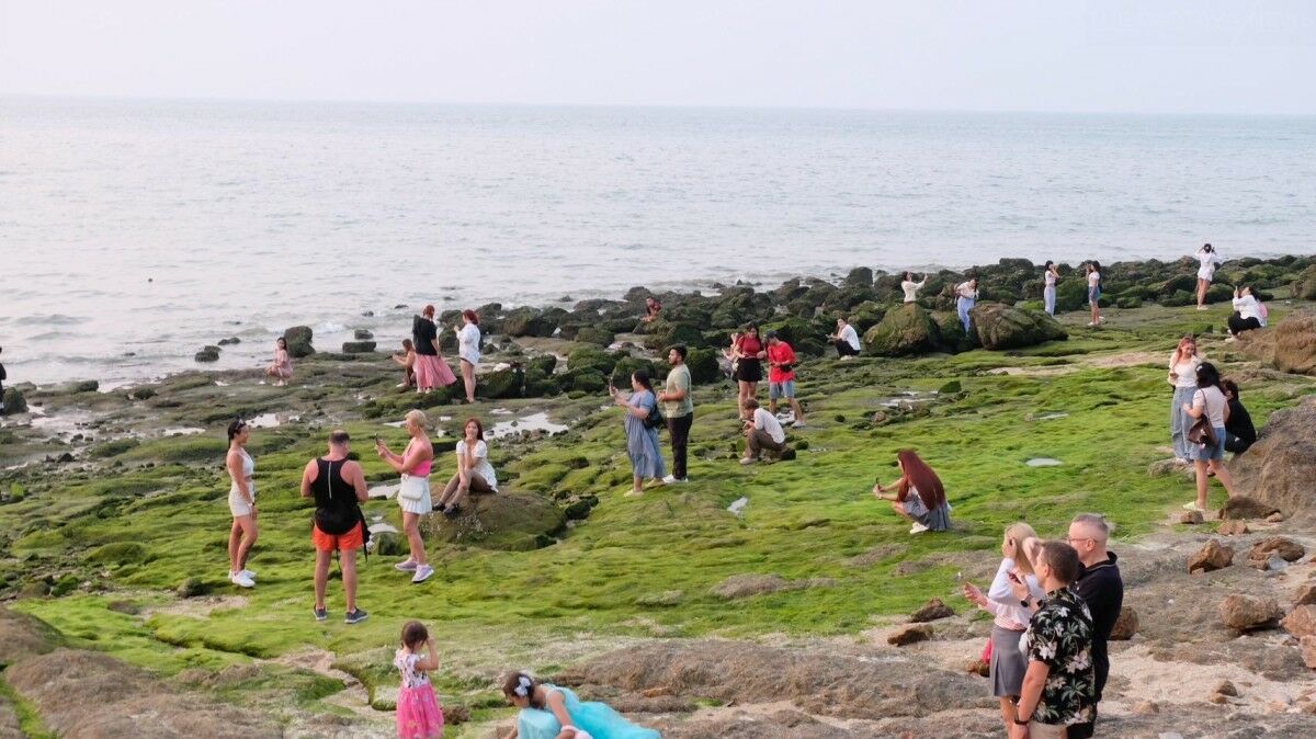 Rare algae bloom turns Laem Bali Hai shoreline green