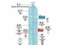 Size matters? Truth about global penis size revealed