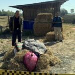 Preschool teacher in Sisaket accused of husband&#8217;s murder | Thaiger