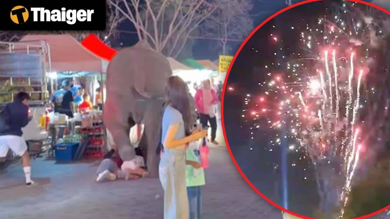 Thailand video news | Elephant panics at fireworks display, injures several at fair, ASEAN urges Myanmar junta to prioritise peace over elections