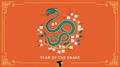 Chinese Zodiac 2025: What’s your luck in the Year of the Snake?