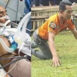 Krabi snake catcher bitten by king cobra draws public support | Thaiger
