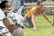 Krabi snake catcher bitten by king cobra draws public support