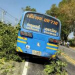 Toppled tree: 9 tourists injured in Kanchanaburi bus accident | Thaiger
