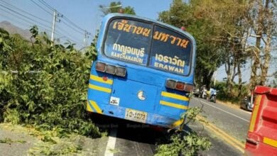 Toppled tree: 9 tourists injured in Kanchanaburi bus accident