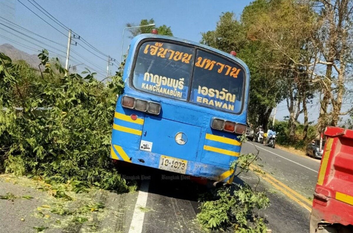 Toppled tree: 9 tourists injured in Kanchanaburi bus accident