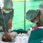 Monkey business: 100 macaques to be neutered in south Bangkok | Thaiger