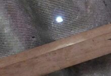 Bullet fired in celebration narrowly misses woman in Sri Banphot