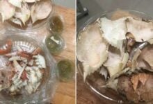 Shell shocked: Buyer claws back after floating market crab scam