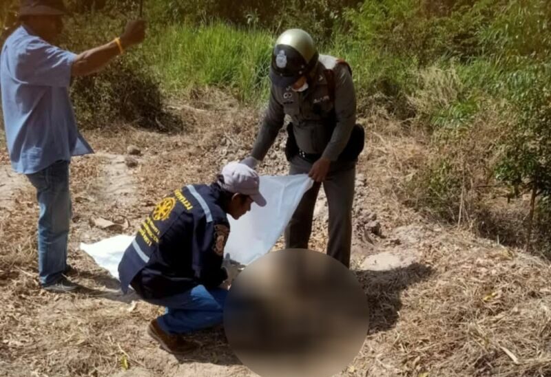 Chachoengsao man killed by wild elephant near cassava field