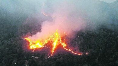 Forest fires in Pak Chong extinguished after eight-day battle