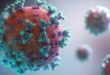 No human metapneumovirus cluster reported in Thailand, say officials