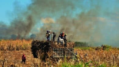 Smoke signals: Thailand cracks down on PM2.5 cross-border pollution