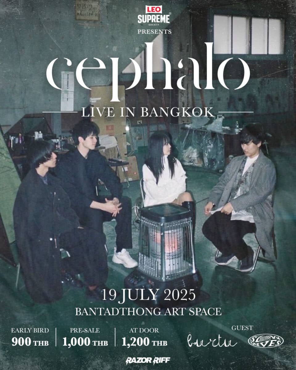 Cephalo live in Bangkok