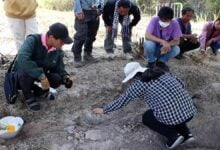 Prehistoric skeletons found near Khon Kaen dinosaur museum