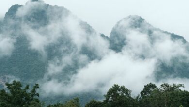 Cold weather grips Thailand, thunderstorms hit the south