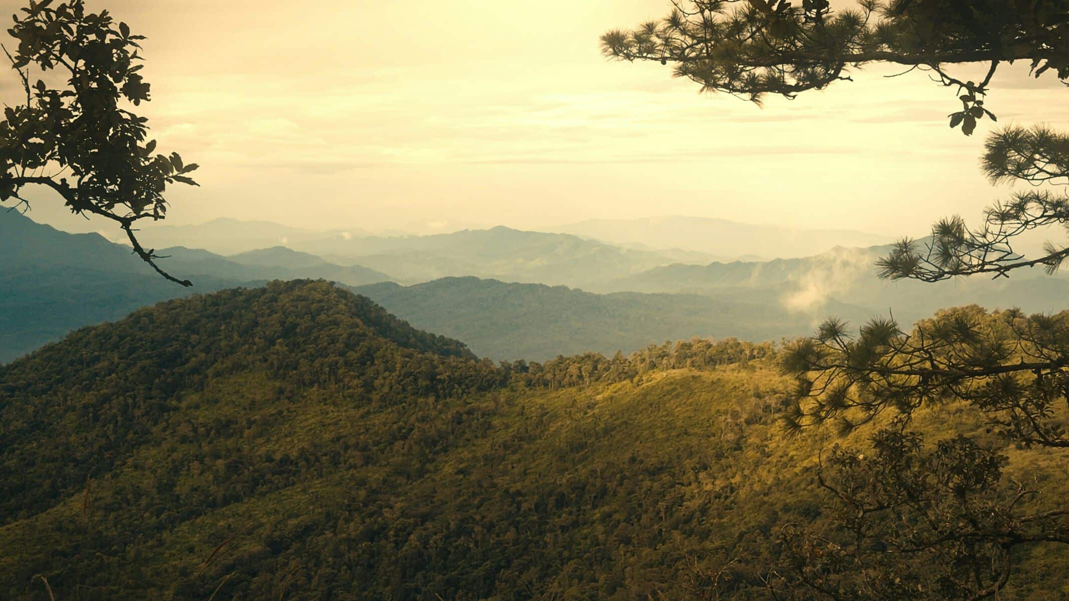 Thailand braces for cold snap, heavy rain, and foggy mornings