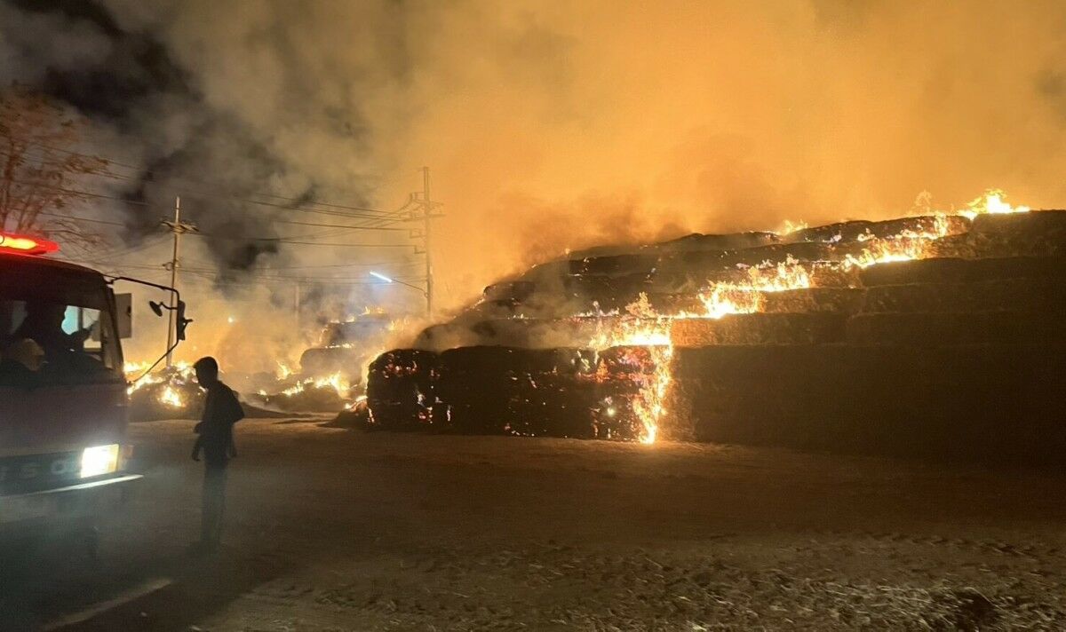 Fire at Phichit biomass plant burns 1,000 tonnes of fuel