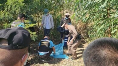 Rice paddy search turns grim as baby girl’s body found in Sisaket