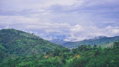 Thailand braces for cool weather with frost on mountain peaks