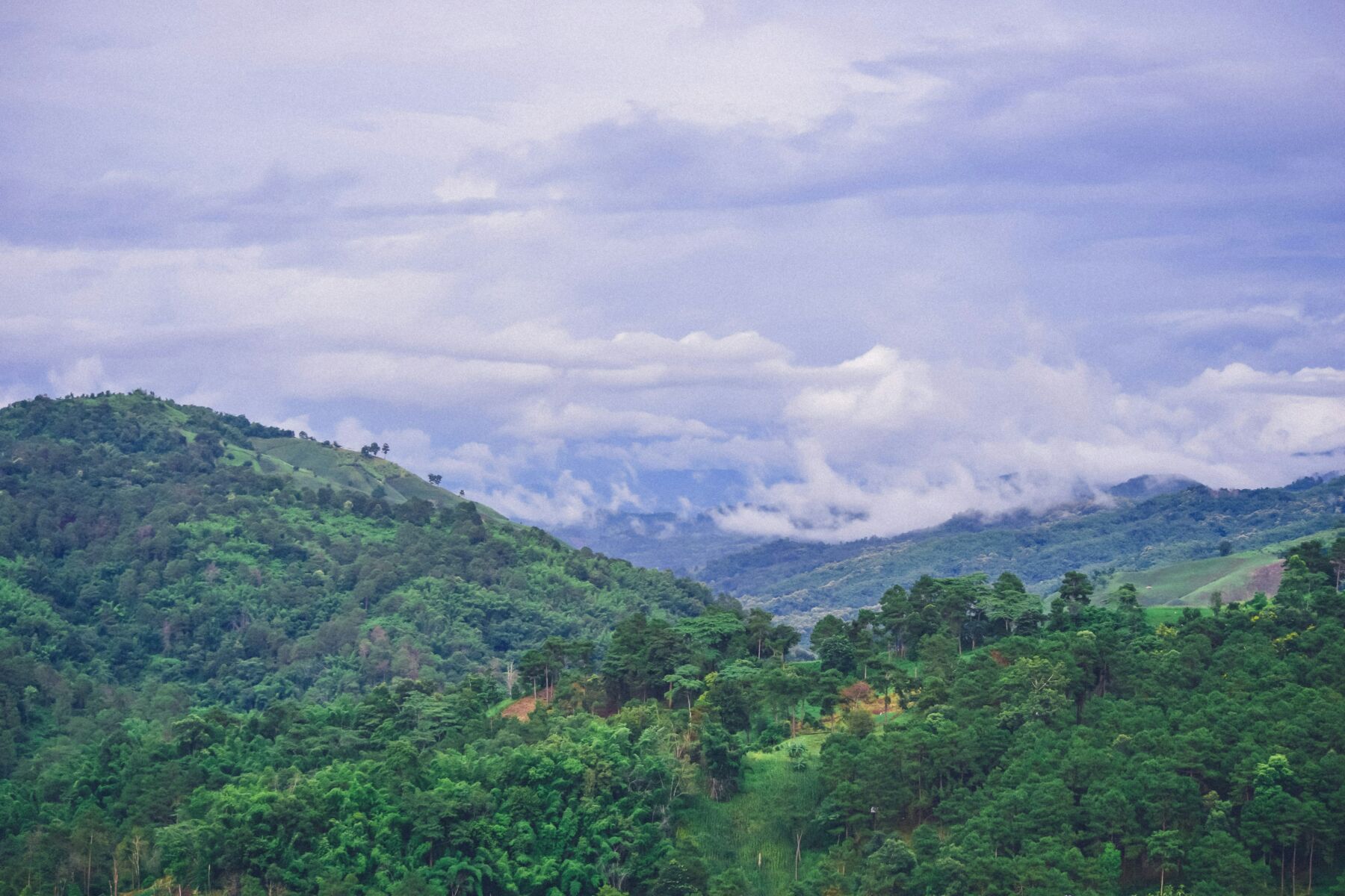 Thailand braces for cool weather with frost on mountain peaks