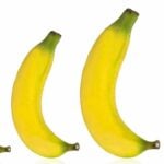 Chinese penis size matters: Cheeky joke blows up into beach brawl | Thaiger